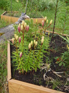 DSCN2554.JPG