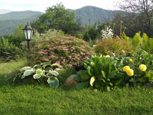 IMG_20190707_181025.jpg