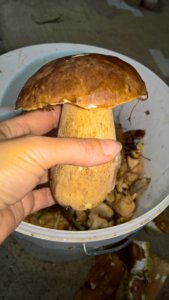 WP_20190709_10_51_55_Pro_LI.jpg