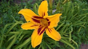 WP_20190709_12_31_43_Pro_LI.jpg