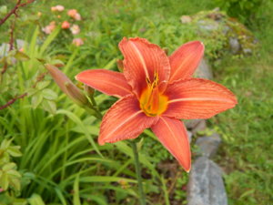 DSCN2479.JPG