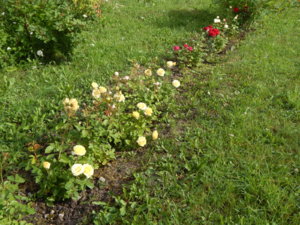DSCN2423.JPG