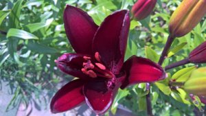 WP_20190710_14_02_00_Pro_LI.jpg