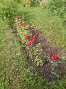 DSCN2425.JPG