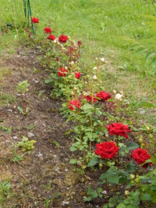 DSCN2589.JPG