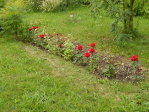 DSCN2659.JPG