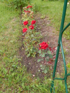 DSCN2748.JPG