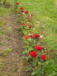 DSCN2794.JPG