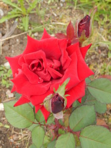 DSCN2749.JPG