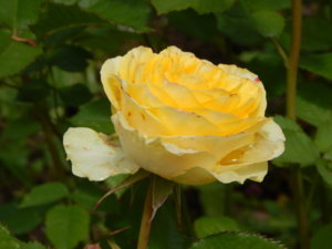 DSCN2573.JPG