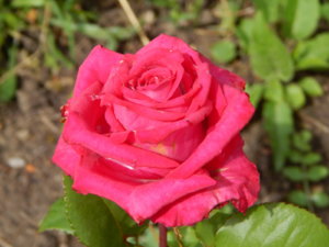 DSCN2576.JPG