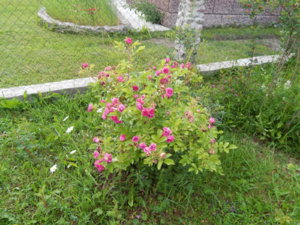 DSCN2724.JPG