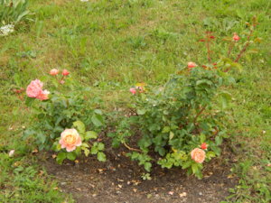 DSCN2765.JPG