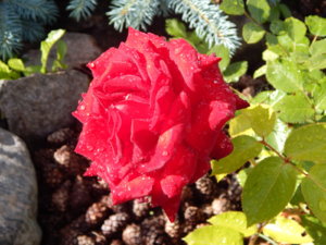DSCN2438.JPG