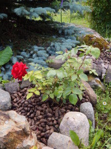 DSCN2484.JPG