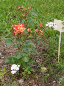 DSCN2728.JPG