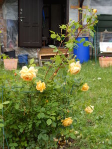 DSCN2608.JPG