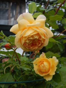 DSCN2612.JPG