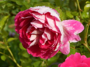 DSCN2428.JPG