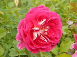 DSCN2603.JPG