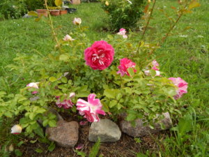 DSCN2744.JPG