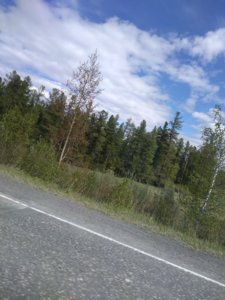 IMG_20190619_132021.jpg