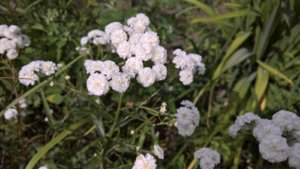 WP_20190711_14_22_09_Pro_LI.jpg