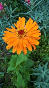 WP_20190711_14_23_55_Pro_LI.jpg
