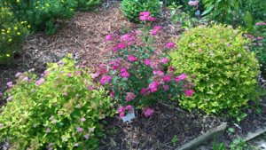 WP_20190711_14_13_27_Pro_LI.jpg
