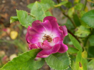 DSCN2631.JPG