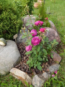 DSCN2742.JPG