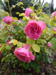 DSCN2492.JPG