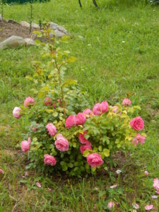 DSCN2830.JPG