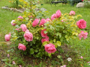 DSCN2831.JPG