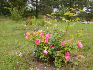 DSCN2834.JPG