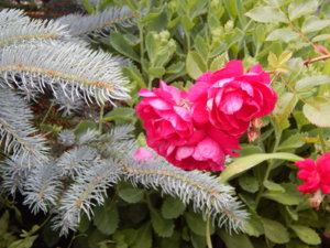 DSCN2475.JPG