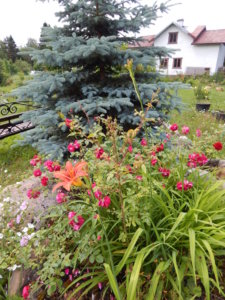 DSCN2480.JPG