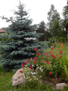DSCN2835.JPG