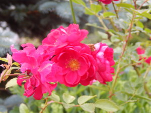 DSCN2837.JPG