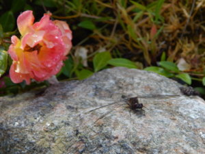 DSCN2440.JPG