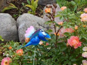 DSCN2679.JPG