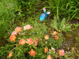 DSCN2684.JPG
