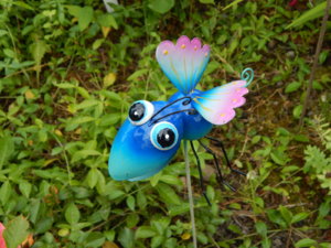 DSCN2685.JPG
