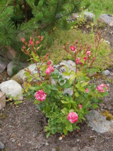DSCN2840.JPG