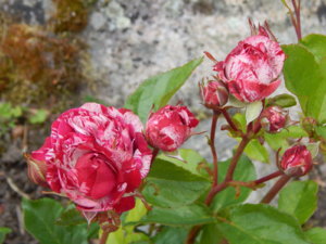 DSCN2843.JPG
