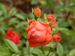 DSCN2860.JPG