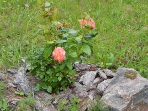 DSCN2862.JPG