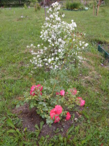 DSCN2801.JPG