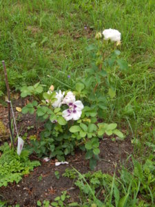 DSCN2849.JPG