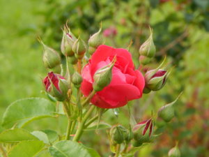 DSCN2534.JPG